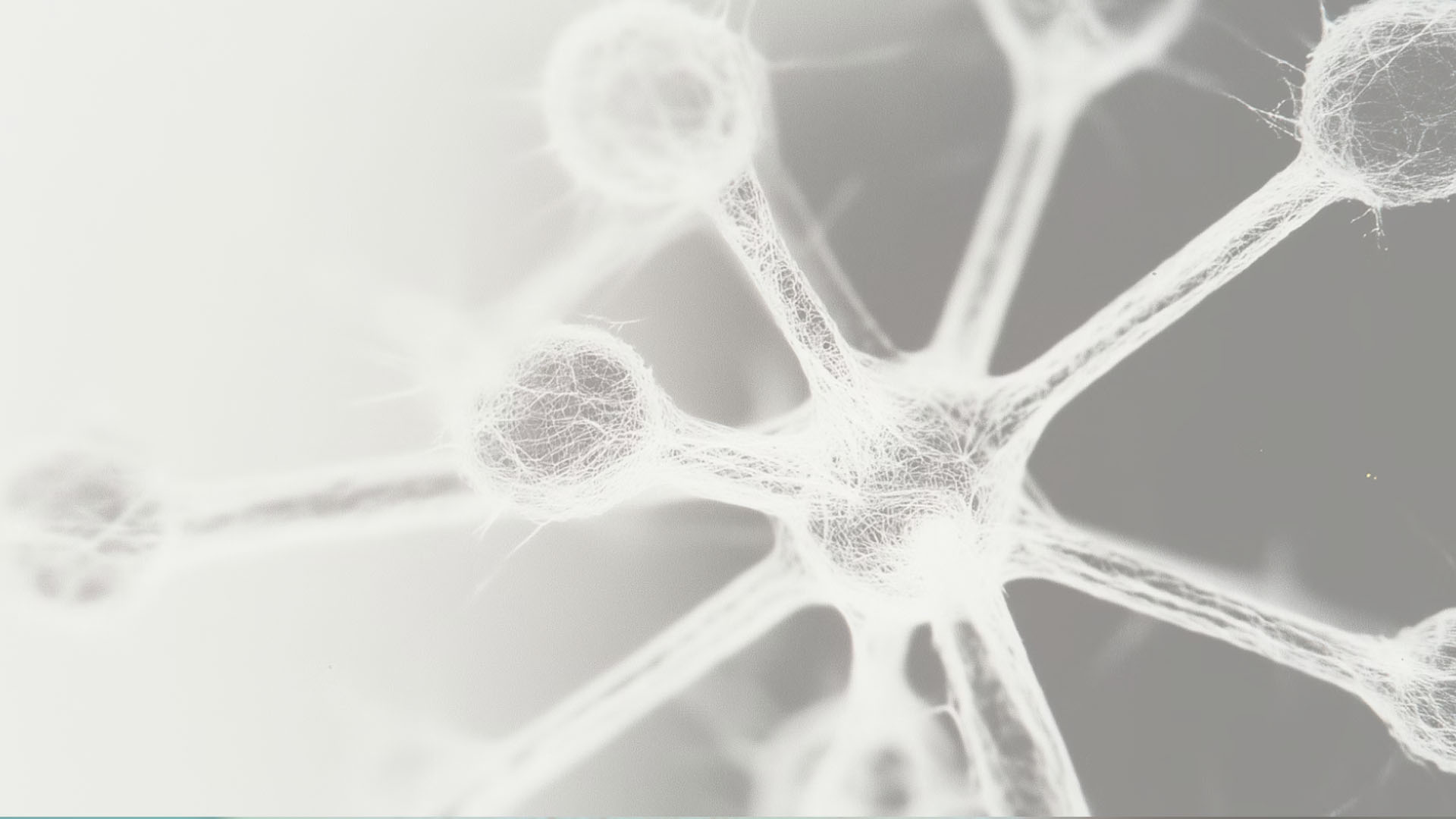 quiropráctica neurológica en oliva valencia neurona