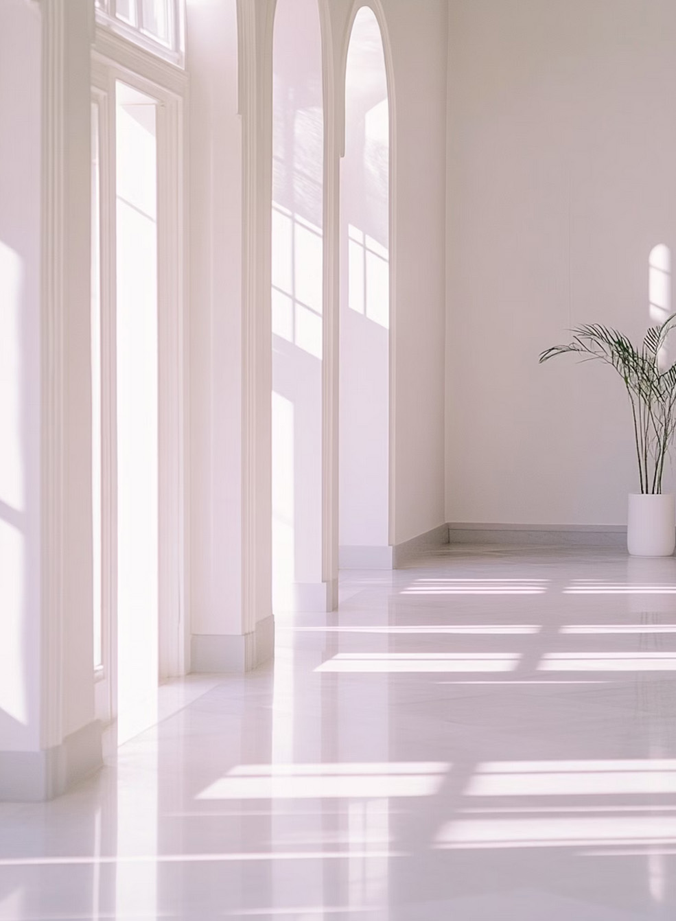 quiropractica en oliva valencia ventanales